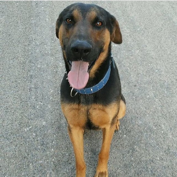 Meet the seller - Picture 6 of 7